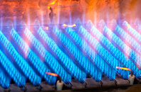 Brane gas fired boilers